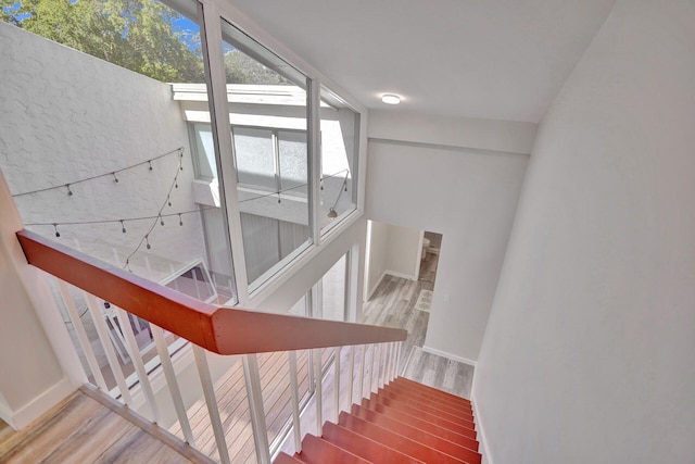 staircase with hardwood / wood-style flooring