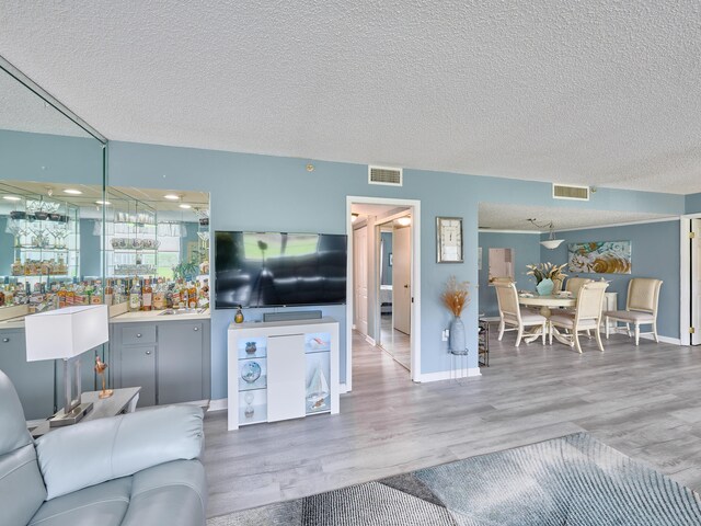 living room featuring hardwood / wood-style flooring, sink, and a textured ceiling