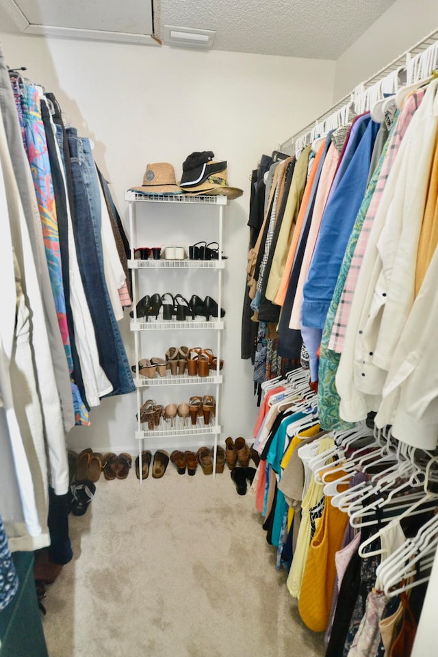 walk in closet featuring carpet flooring