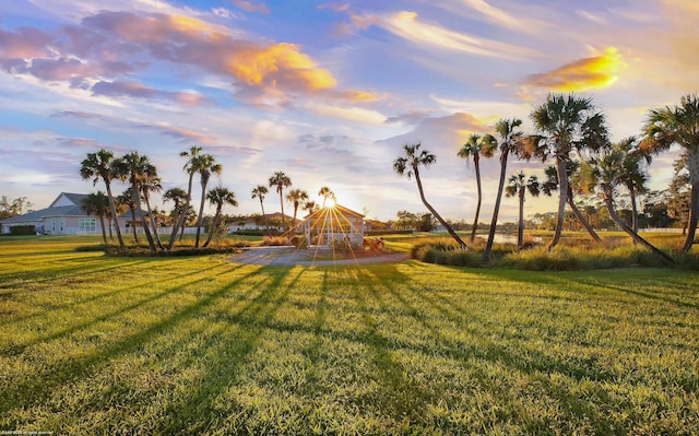 view of yard at dusk