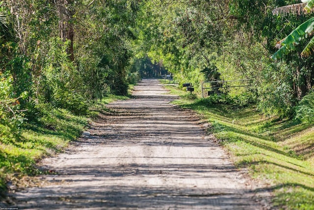 view of road