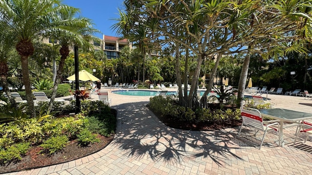 view of pool with a patio