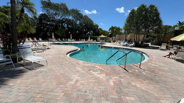 view of swimming pool featuring a patio area