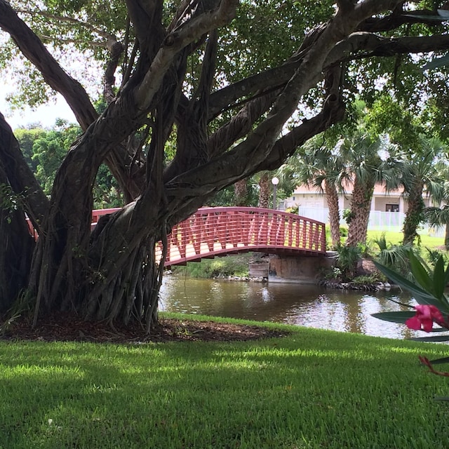 property view of water