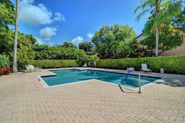 view of pool featuring a patio