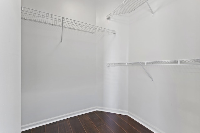 walk in closet with wood-type flooring