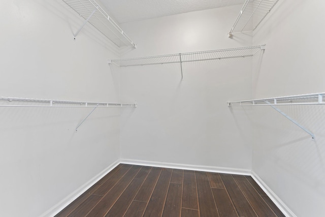 walk in closet with wood-type flooring