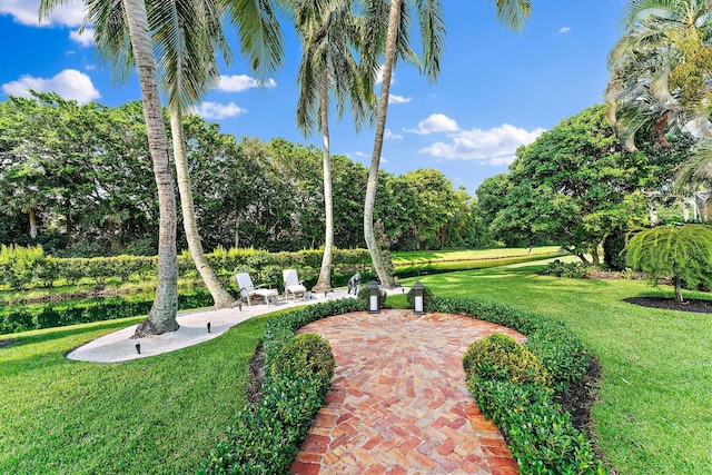 view of yard featuring a patio