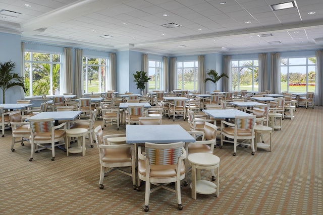 carpeted dining room featuring a drop ceiling