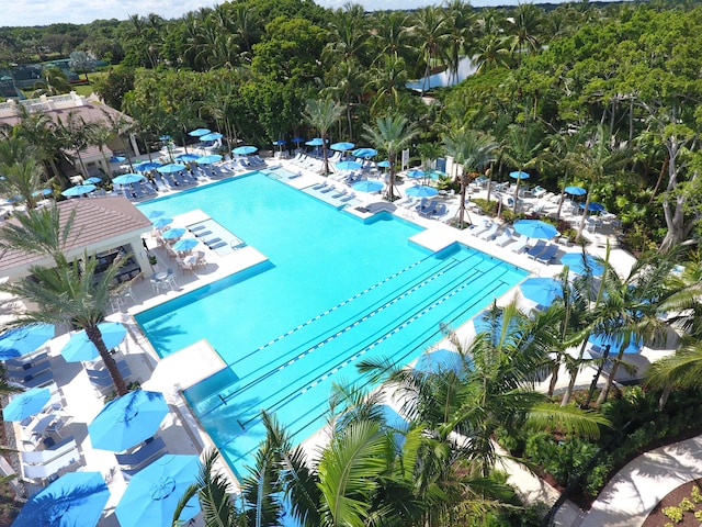 view of pool featuring a patio area