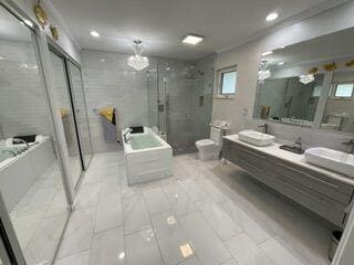 bathroom featuring vanity, toilet, a wealth of natural light, and a shower with shower door