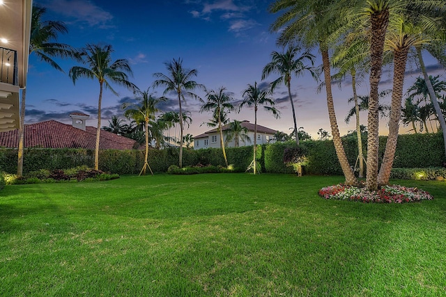 view of yard at dusk