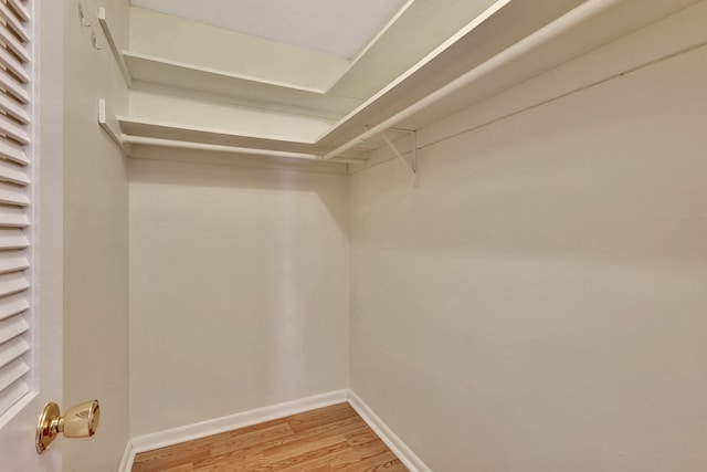 walk in closet featuring hardwood / wood-style flooring