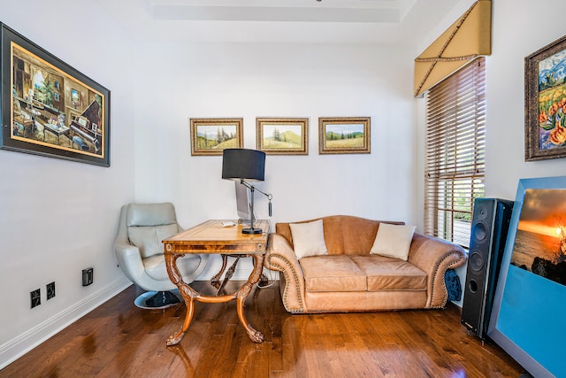 sitting room featuring dark hardwood / wood-style flooring