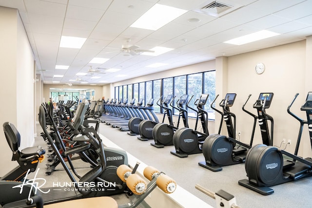 gym with a paneled ceiling and ceiling fan