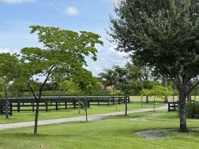 view of community featuring a lawn