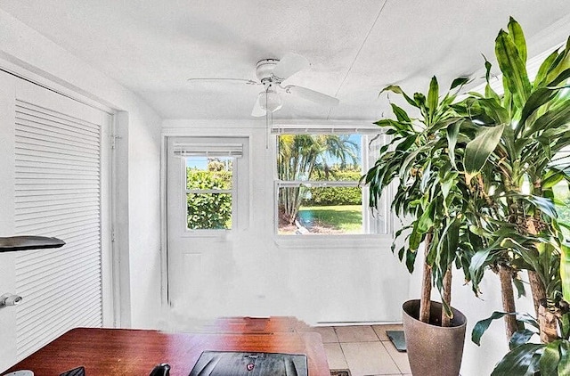 interior space with ceiling fan and plenty of natural light