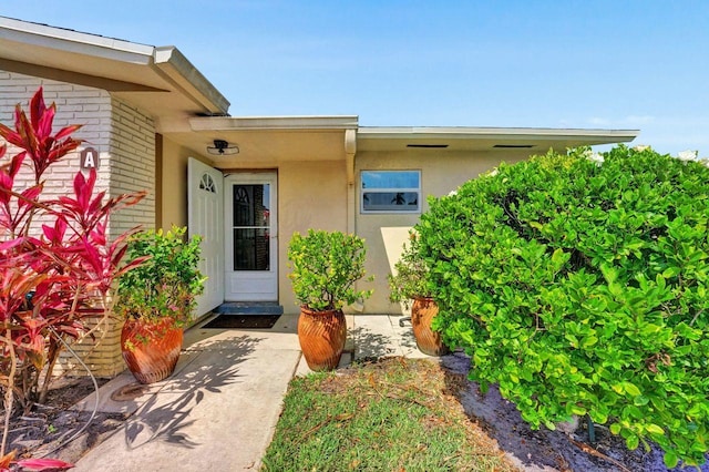 doorway to property featuring brick siding and stucco siding