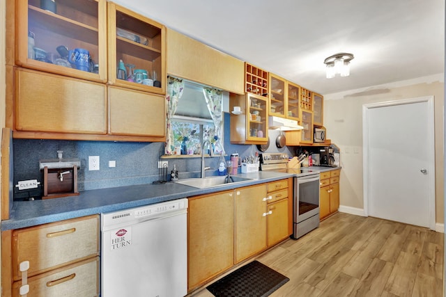 kitchen featuring backsplash, sink, light hardwood / wood-style flooring, and appliances with stainless steel finishes