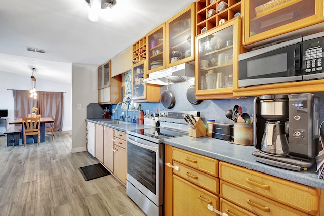 kitchen with sink, pendant lighting, vaulted ceiling, appliances with stainless steel finishes, and light wood-type flooring