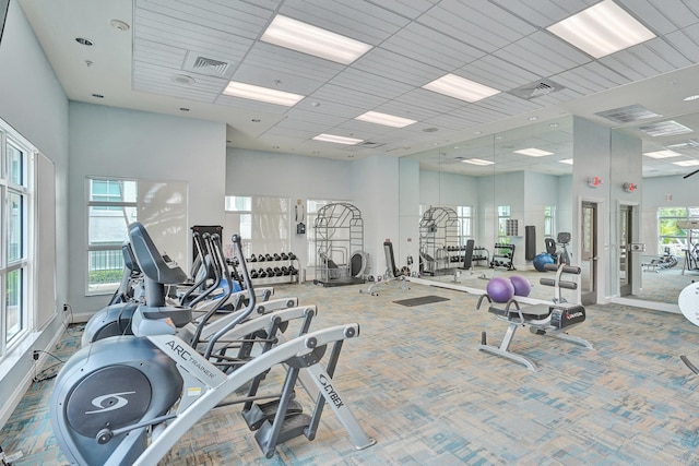 workout area featuring a paneled ceiling, a high ceiling, and carpet floors