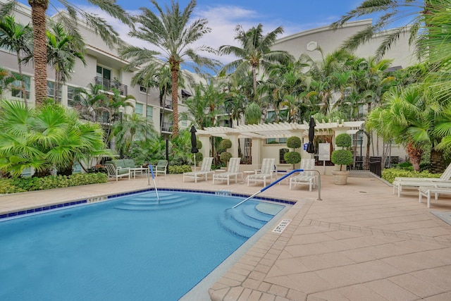 view of pool with a patio and a pergola