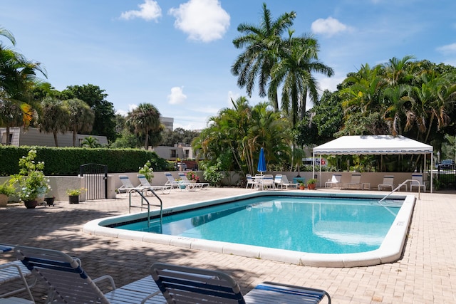 view of pool with a patio