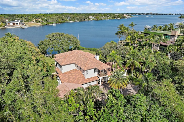 bird's eye view with a water view