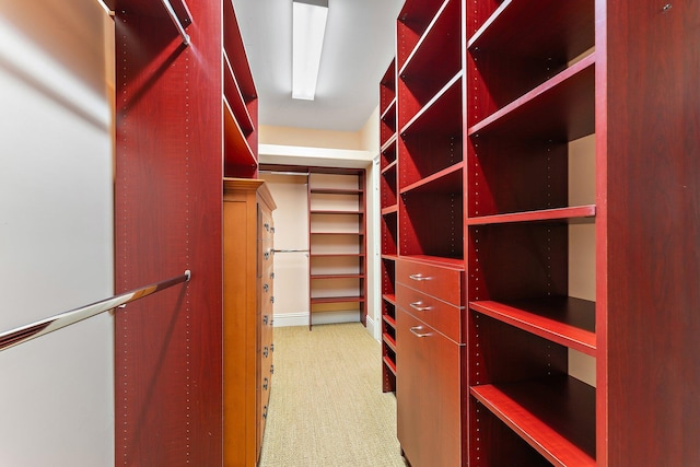 spacious closet featuring carpet