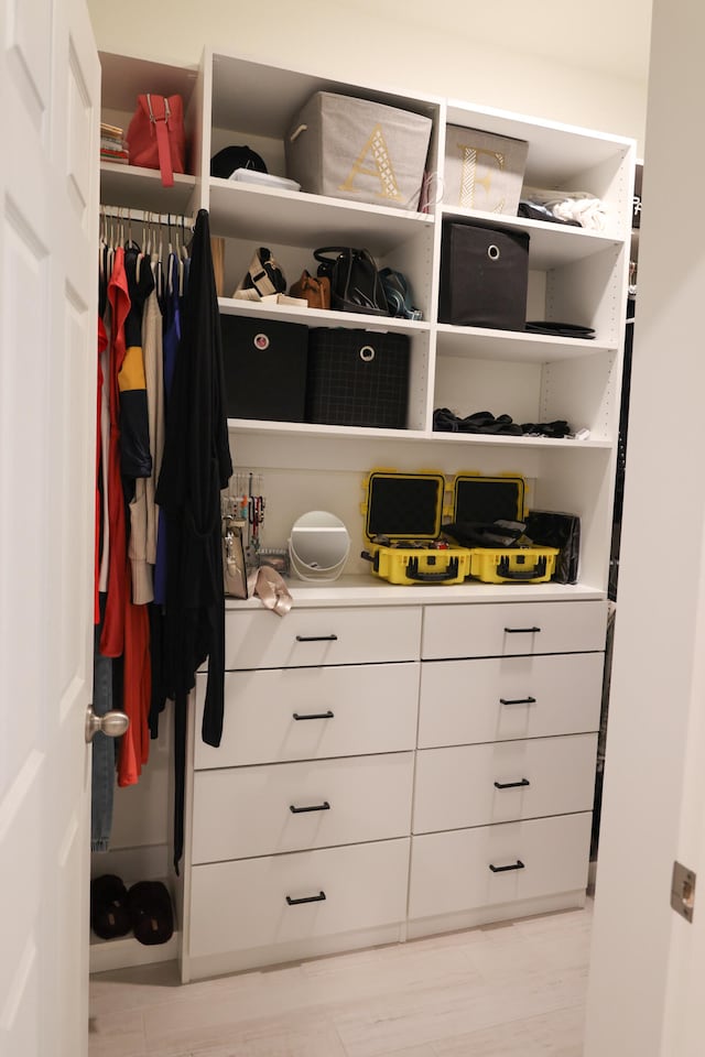 view of closet