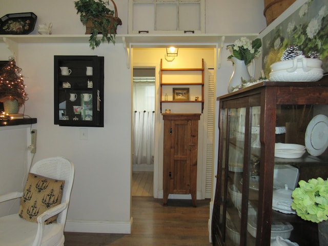 interior space featuring dark wood-type flooring