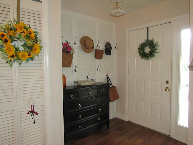 foyer with dark hardwood / wood-style floors