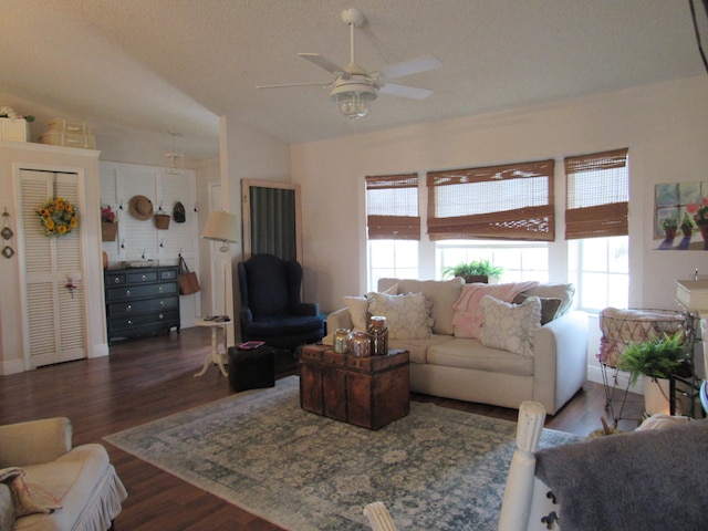 living room with lofted ceiling, dark wood-type flooring, and a wealth of natural light