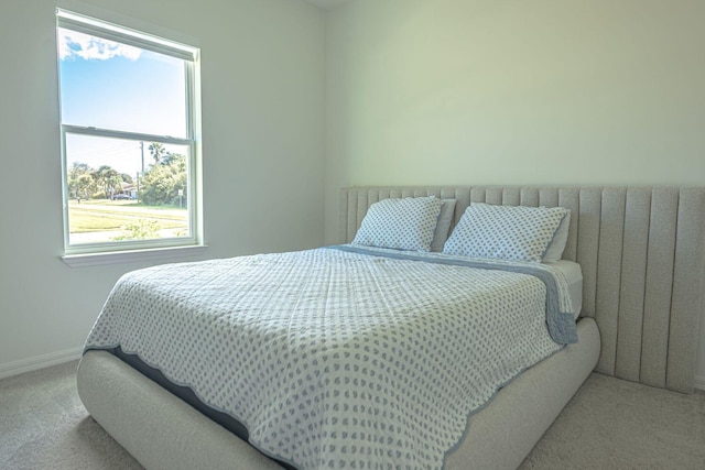 carpeted bedroom with multiple windows