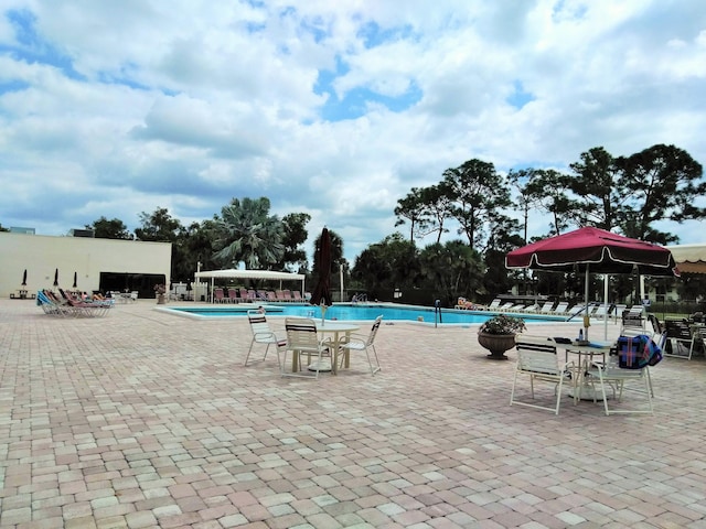 view of swimming pool with a patio