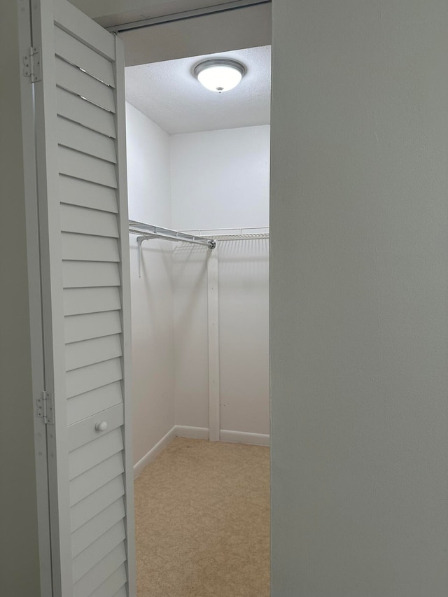 walk in closet with light colored carpet