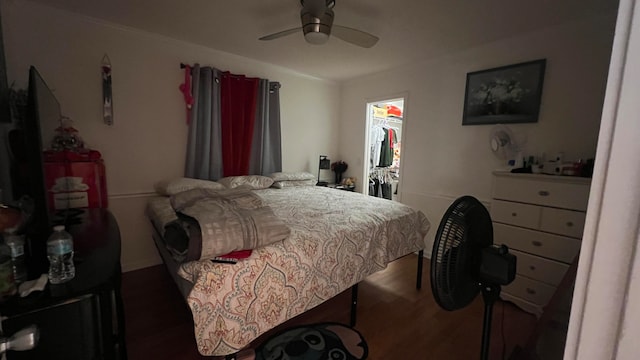 bedroom featuring dark wood-type flooring, ceiling fan, a closet, and a spacious closet