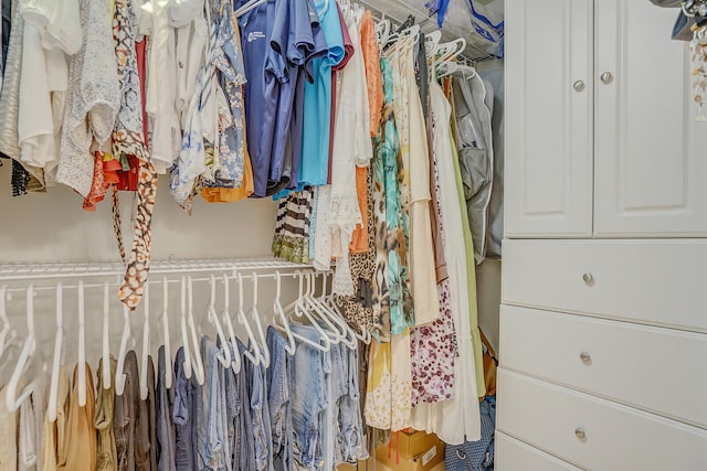 view of walk in closet