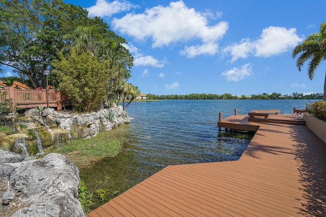 dock area with a water view