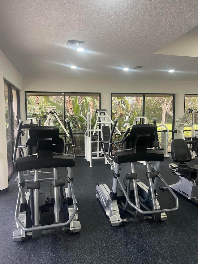 gym with a textured ceiling and a healthy amount of sunlight