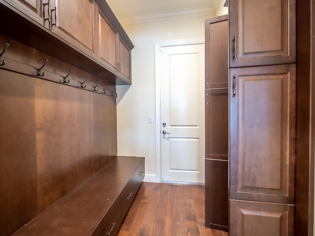 mudroom with ornamental molding and dark wood-type flooring