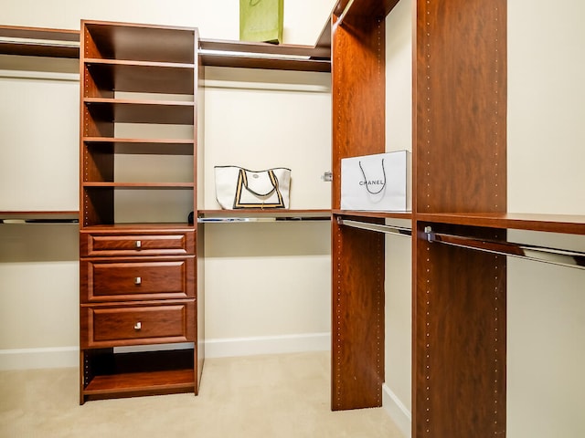 spacious closet with light colored carpet