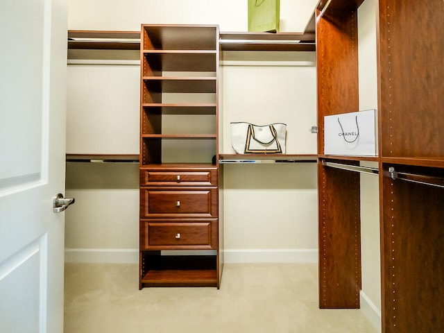 spacious closet featuring light carpet