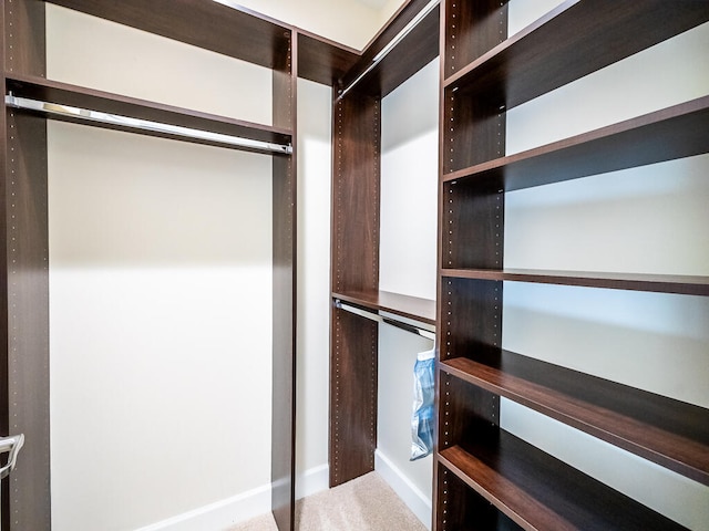 spacious closet with carpet floors