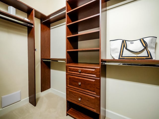 spacious closet with light carpet