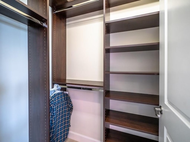 view of spacious closet