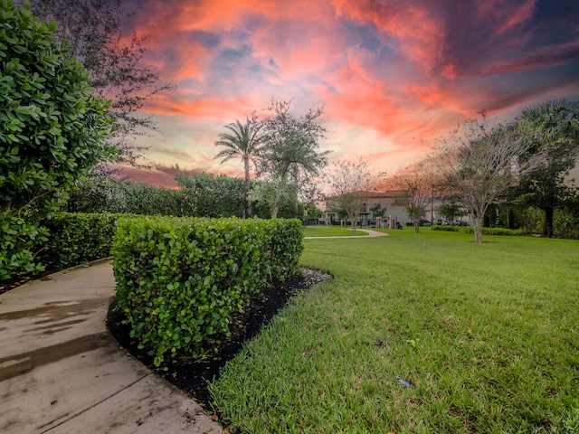 view of yard at dusk