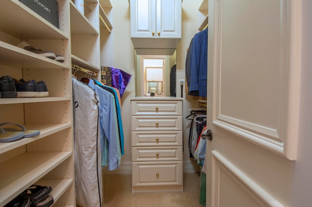 walk in closet with light carpet