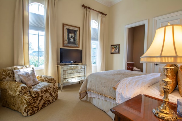 bedroom featuring ornamental molding and carpet