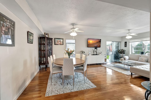 dining room featuring hardwood / wood-style floors, a textured ceiling, and ceiling fan